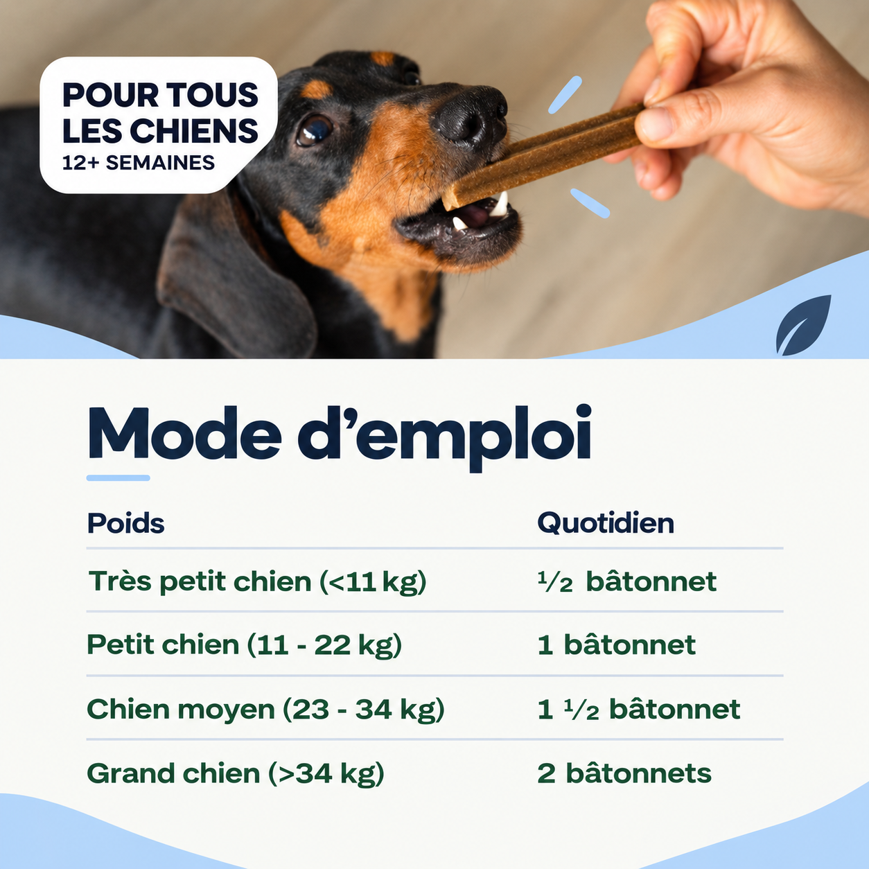 Bâtonnets dentaires prébiotiques – Contre la plaque dentaire et la mauvaise haleine
