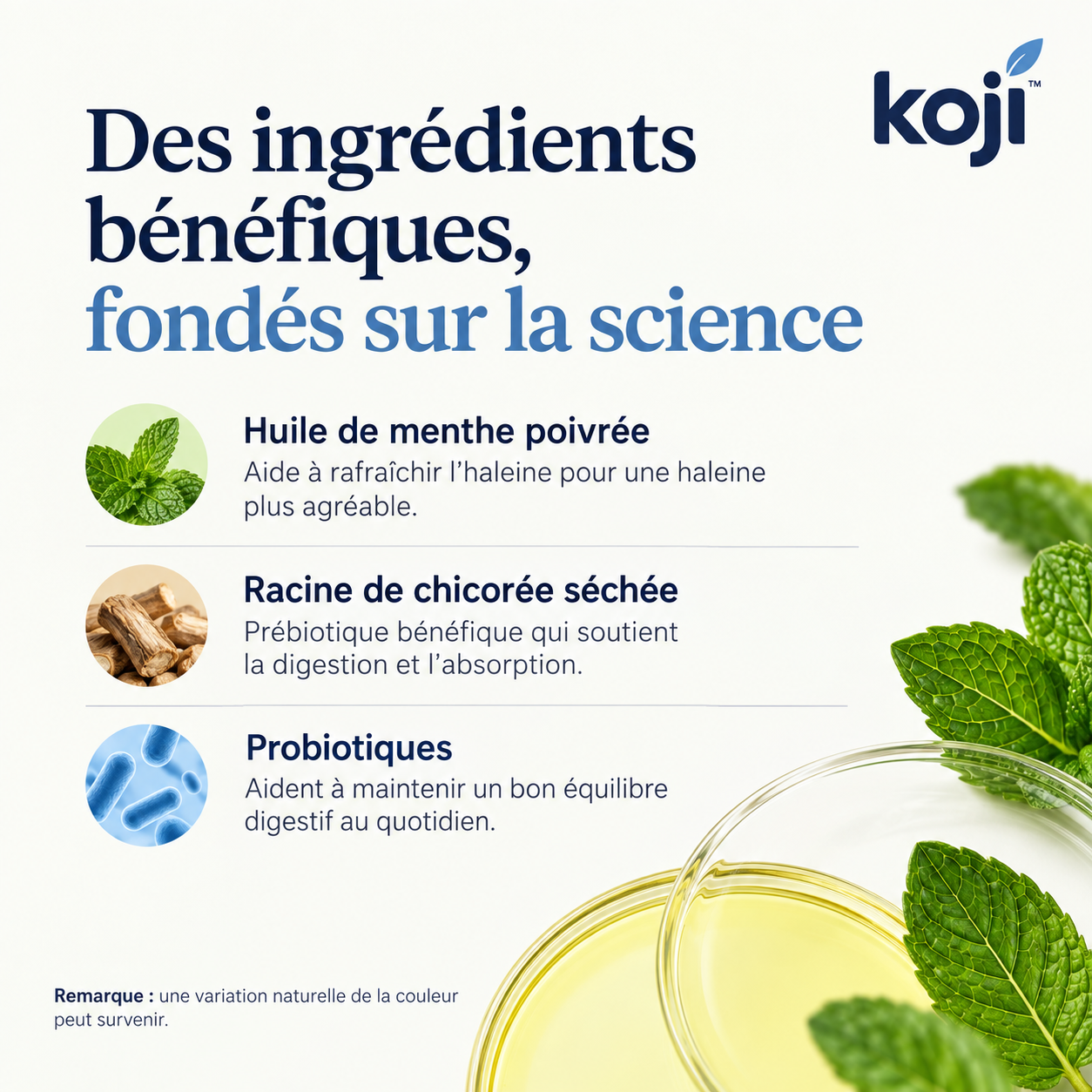 Bâtonnets dentaires prébiotiques – Contre la plaque dentaire et la mauvaise haleine