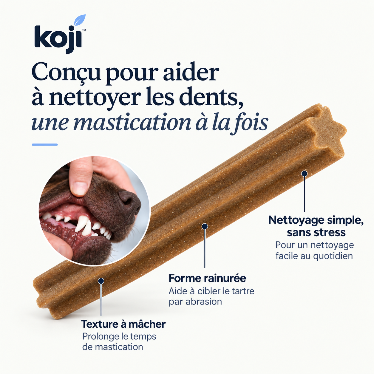 Bâtonnets dentaires prébiotiques – Contre la plaque dentaire et la mauvaise haleine