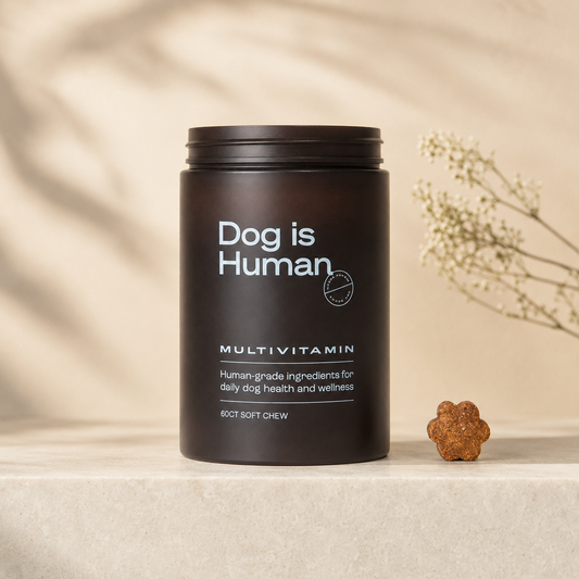 DM-01™ Daily Multivitamins